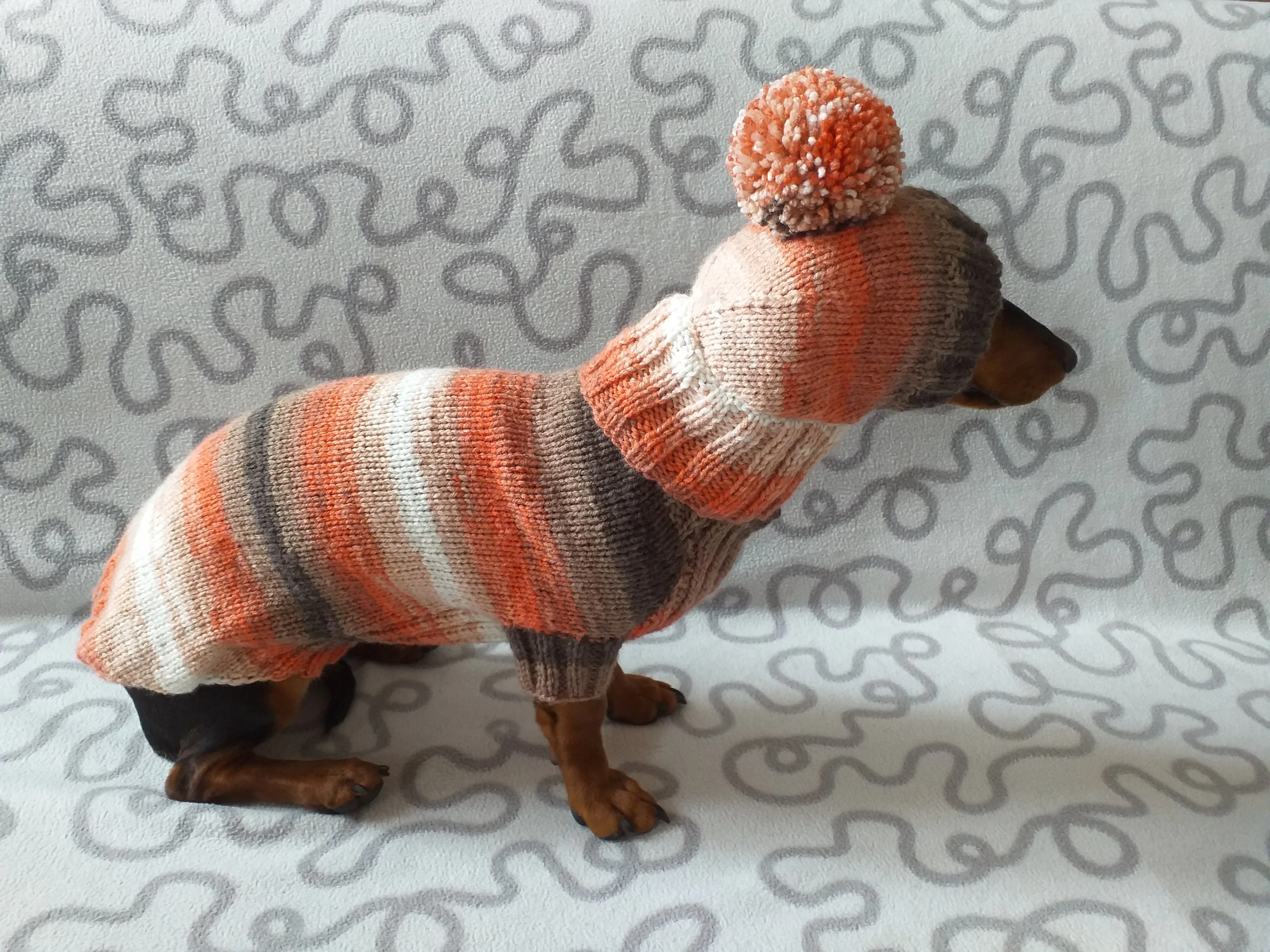 Knitted suit sweater and hat for dog, Dachshund clothes knitted suit sweater and hat, wiener costume sweater and hat