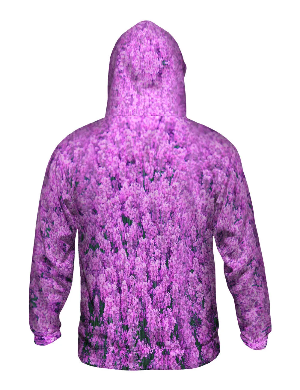 Norfolk Lavenderl